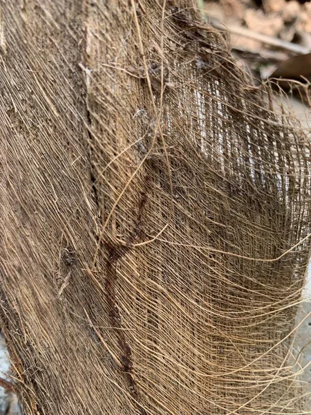 Getrocknete Kokosflocken Textur Als Abstrakter Hintergrund — Stockfoto