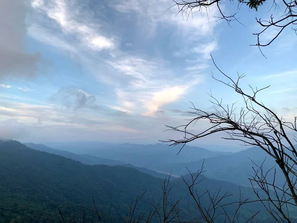 Sebuah Pohon Berdaun Puncak Bukit Indah Pemandangan Gunung — Stok Foto