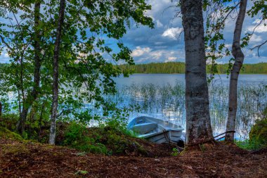 Finlandiya 'da gölde bir tekne ormanın içinden görülüyor.