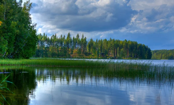Finlandiya 'da bir gölün orman yansıması