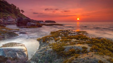 Palolem, Goa 'da deniz yosunu ve su hareketleriyle uzun süre gün batımına maruz kaldık.