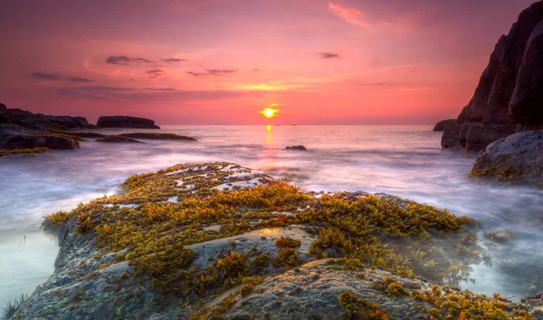 Coucher Soleil Longue Exposition Avec Algues Mouvement Eau Sur Plage — Photo