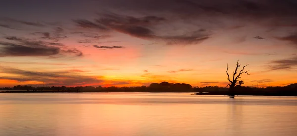 Silhueta Árvore Água Tranquila Lago Durante Pôr Sol Dramático — Fotografia de Stock