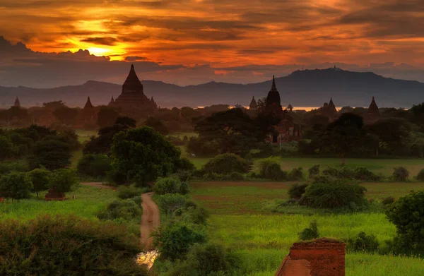 Myanmar 'daki Bagan tapınakları ve yeşil tarlalar üzerinde gün batımı