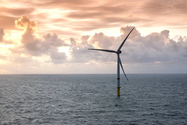 Zonsondergang Boven Offshore Windpark Groene Stroomopwekking — Stockfoto