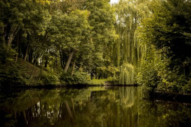 Sonbahar manzarası suya yansıdı