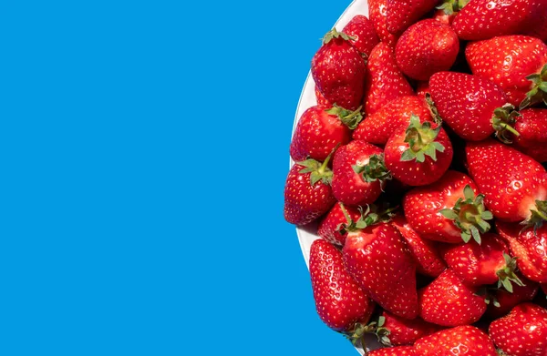 Fresh strawberries in a plate isolated on a blue background. Top view of a strawberries on the table. Summer fruits background, banner, copy space for text. Top view. Flat lay.