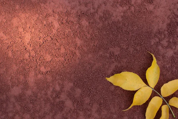 Yellow autumn leaves on the background of a red clay tennis court . End of season concept. Space for text.