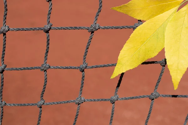 Kırmızı bir tenis kortunun bulanık arka planında tenis ağında üç sarı sonbahar yaprağı. Sezonun sonu konsepti. Metin için boşalt.