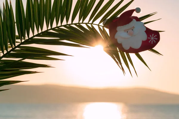 Decorative Santa Claus Palm Branch Blurred Background Sunrise Sea Happy — Stock Photo, Image