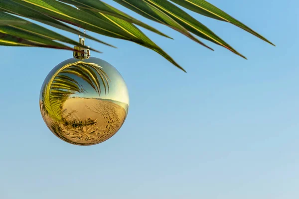 Plaj konseptinde mutlu yıllar ve mutlu Noeller. Mavi gökyüzüne karşı palmiye dalında altın Noel balosu ve plajın yansıması. Sıcak ülkelerde Noel tatili. Boşluğu kopyala