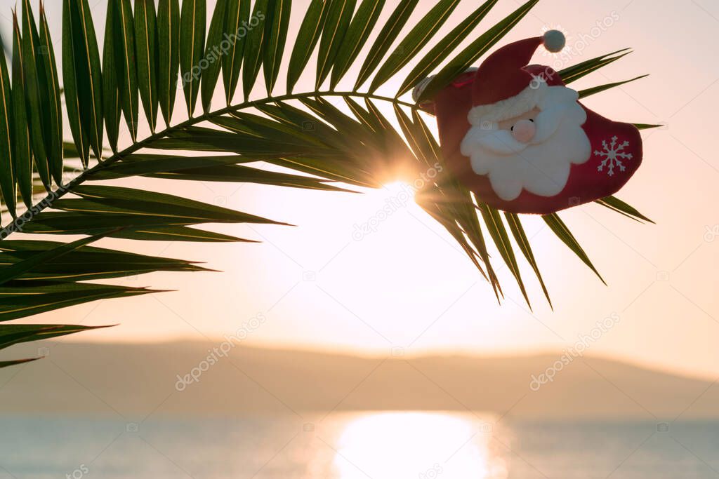 Decorative Santa Claus on palm branch on blurred background of sunrise over sea. Happy New Year and Christmas on the beach concept. Christmas holidays in warm countries. Background, copy space