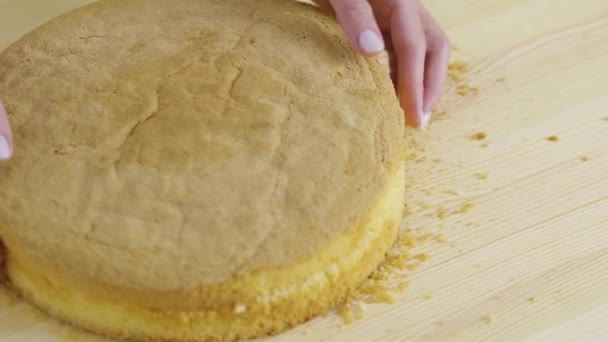 Girl divides the sponge cake into 2 equal parts. — Stock Video