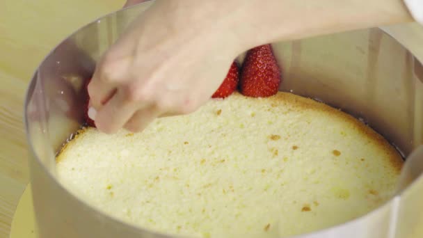 Primer plano de hacer un pastel de friso. aplicar fresas en un bizcocho . — Vídeo de stock