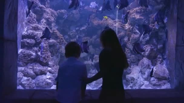 Testvérek tengeri életet néznek. oceanarium. — Stock videók