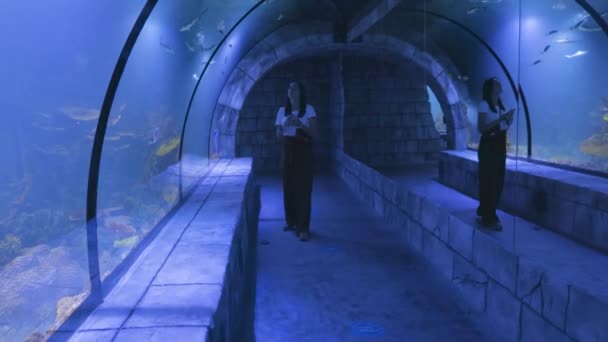 年轻美丽的女人走在一个有热带鱼的大水族馆旁边，在电话里拍照. — 图库视频影像