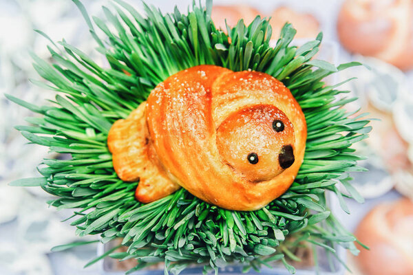 ruddy bird of dough in a nest of green grass close - up