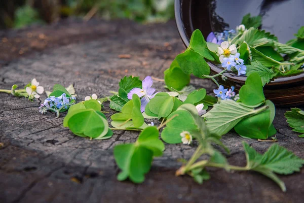 forest herbs and flowers were scattered on an old wooden stub fr