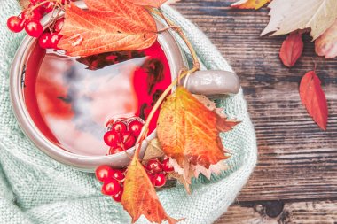 Sıcak çay iskelesi bir fincan bir woo sıcak bir yün eşarp ile kapalı