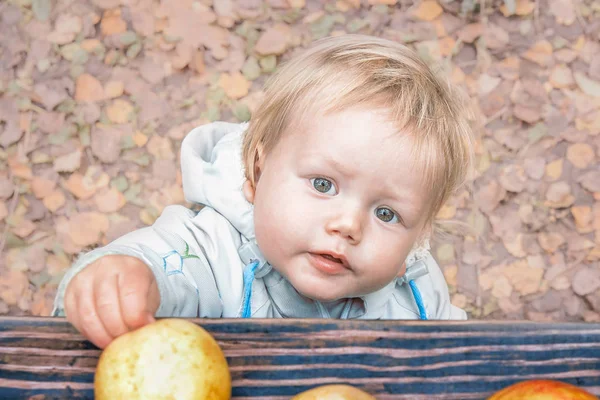 Küçük güzel çocuk elma l arkasında masaya elini çeker