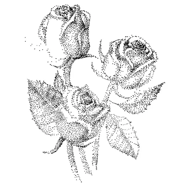 Bitmap Strauß von Rosen, isoliert auf weißem Hintergrund. Rosenblüte. — Stockvektor