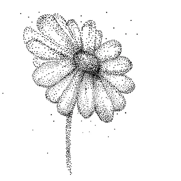 Doodle Blume der Kamille, handgezeichnete Illustration — Stockvektor