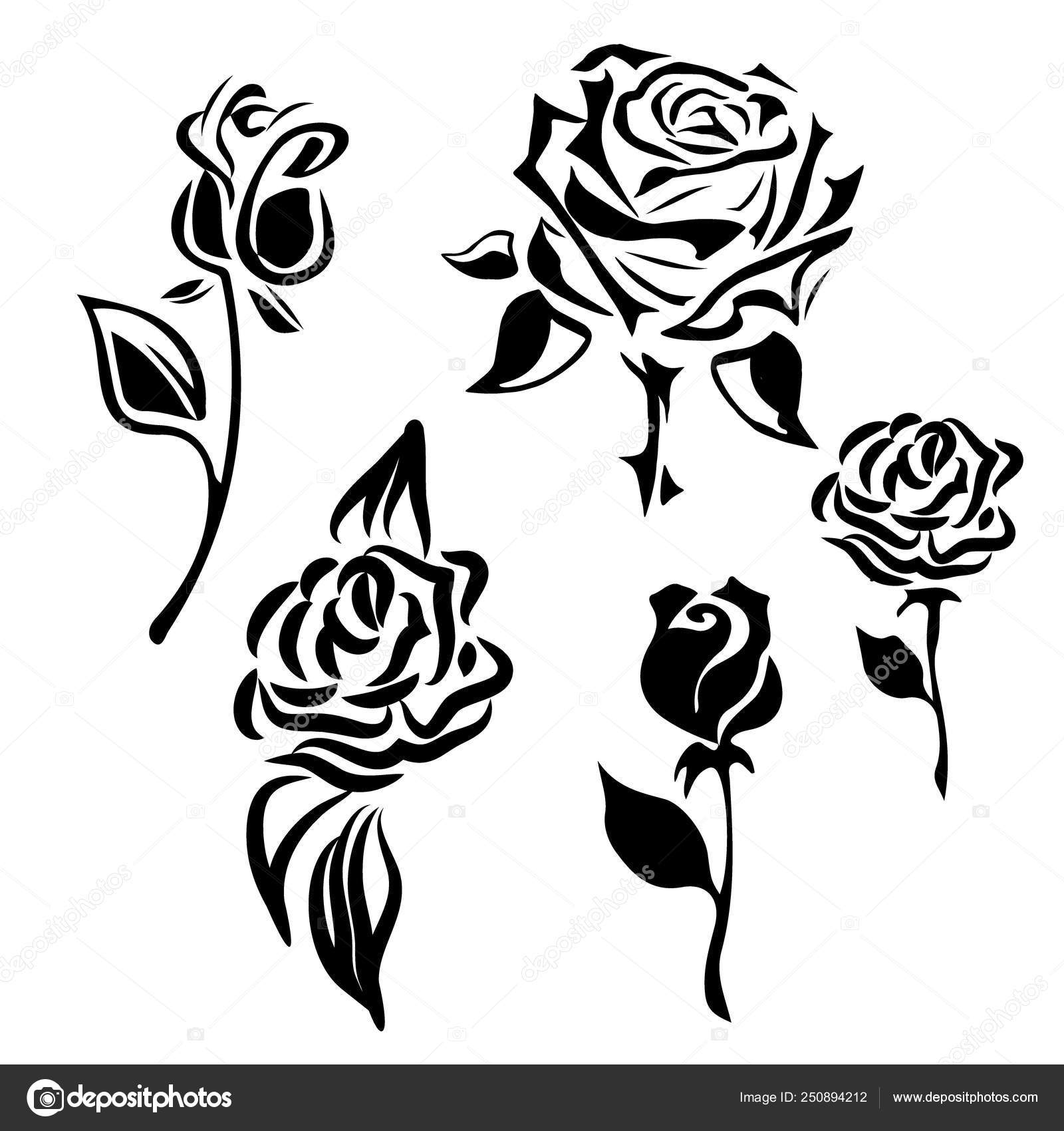 Icono de flor. Conjunto de siluetas decorativas de rosas. Vector rosa