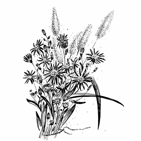 Blumenhintergründe mit handgezeichneten Kräutern und Wildblumen. Monochrome Vektorillustration — Stockvektor