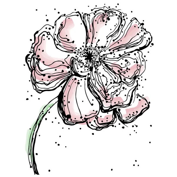 Abstrakte Blumen, Mohn isoliert, handgezeichnete Illustration, Skizze — Stockvektor