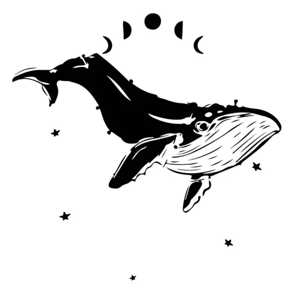 Met de hand getekende walvis op aquarel achtergrond.. Sterren hemel. Artistieke melkweg. Voor T-shirt print, kids en kinderen mode collectie. — Stockvector