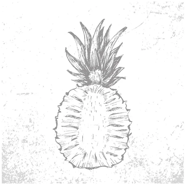 Bild Scheiben Von Ananasfrüchten Vektor Schwarz Weiß Illustration Skizzieren Sie — Stockvektor