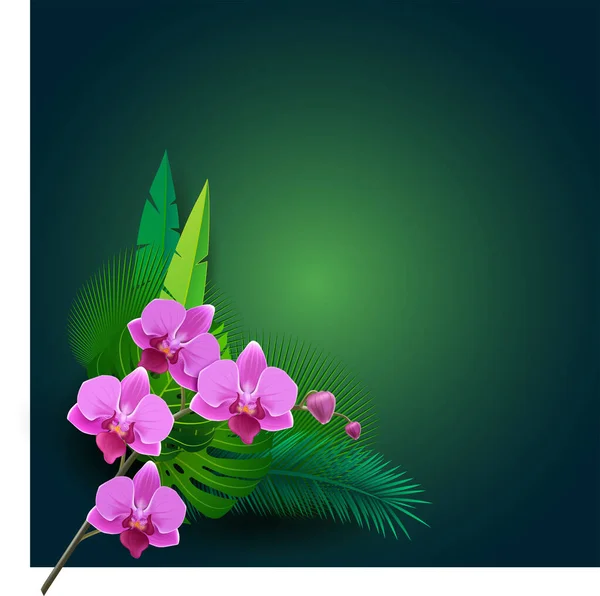 Ilustração Vetorial Com Flores Fundo Bonito Com Plantas Tropicais Verde —  Vetores de Stock