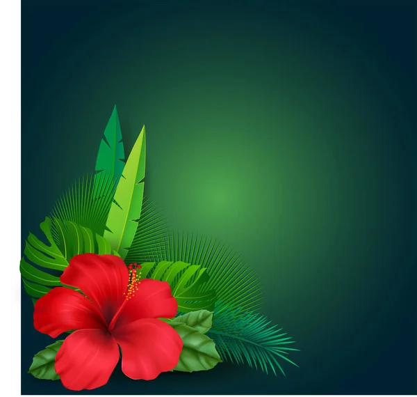 Sommar Semester Banderoller Med Tropiska Blommor Vektor Illustration Blomkål — Stock vektor