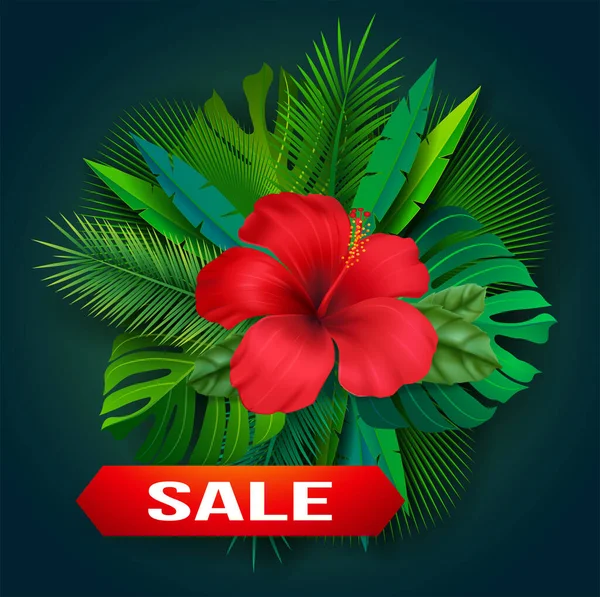 Vector Flor Tropical Set Flor Tropical Hojas Hibiscus Hojas Palma — Vector de stock
