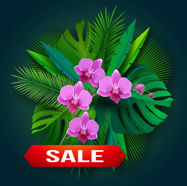 Orquídea Flores Vector Eps Flores Hermoso Fondo — Vector de stock