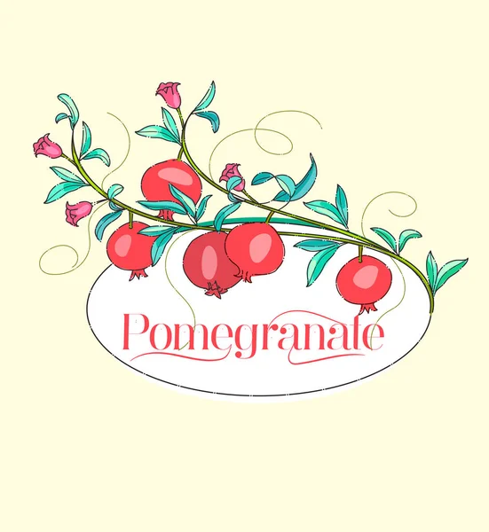 Logo ve tasarımlar için nar dalı ve meyve ünitesi