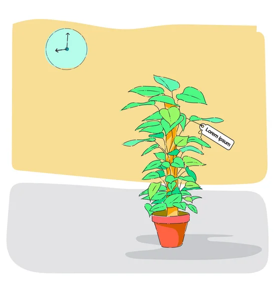 Saksı Bitkisi veya - Pothos (Epipremnum aureum) dekorasyon bitkileri orkideleri