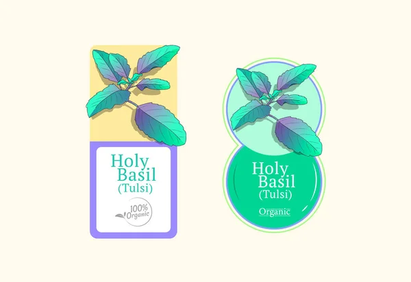 Fesleğen ya da tül yaprağı aşkına. Soğuk ve öksürük için Ayurvedic ilaç