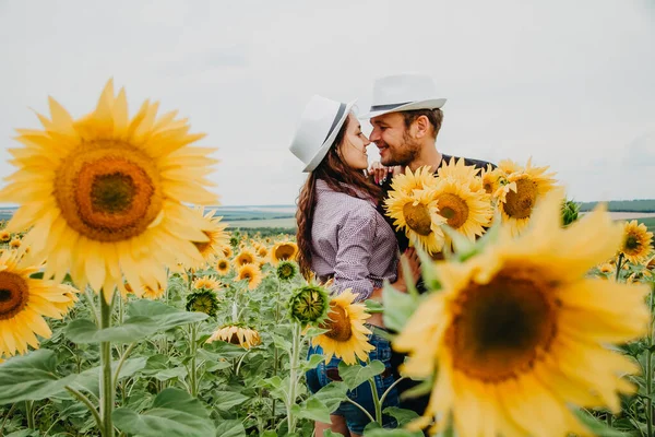 A man and a woman in love walk in a field with sunflowers, a man kisses a woman and hugs, a woman holds a bouquet of sunflowers in her hands.