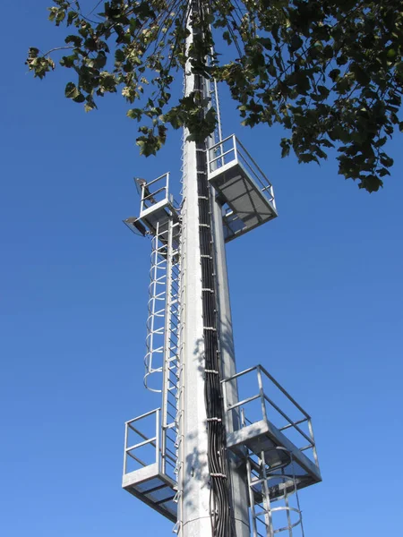 Telephone Antenna Tree Crown Top Blue Sky View — Stock Photo, Image