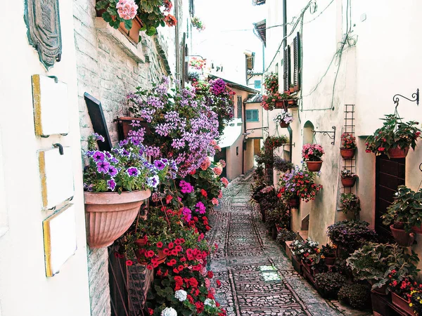 Windows Balkonem Oraz Kwiat Tory Spello Prowincji Perugia Włochy Artystyczna — Zdjęcie stockowe