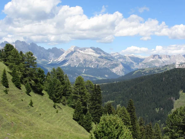 Πανοραμική Θέα Στο Βουνό Των Ιταλικών Δολομιτών Καλοκαίρι South Tyrol — Φωτογραφία Αρχείου