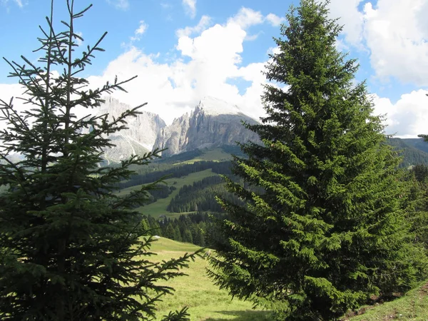 Vista Panoramica Sulle Dolomiti Italiane Estate Alto Adige Bolzano Italia — Foto Stock