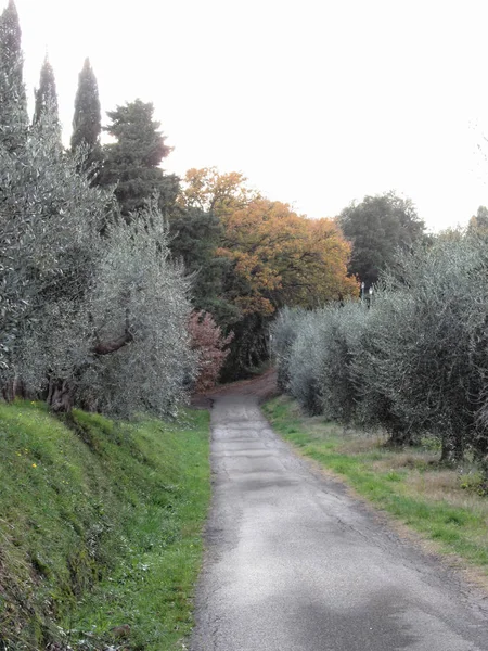 Paisagem Rural Com Estrada Asfalto Interior Outono Toscana Itália — Fotografia de Stock