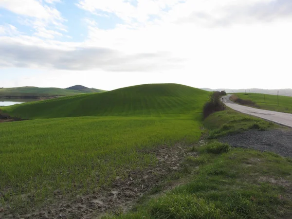 Country road over rolling green hills and valleys in winter . Tuscany, Italy — Stock Photo, Image