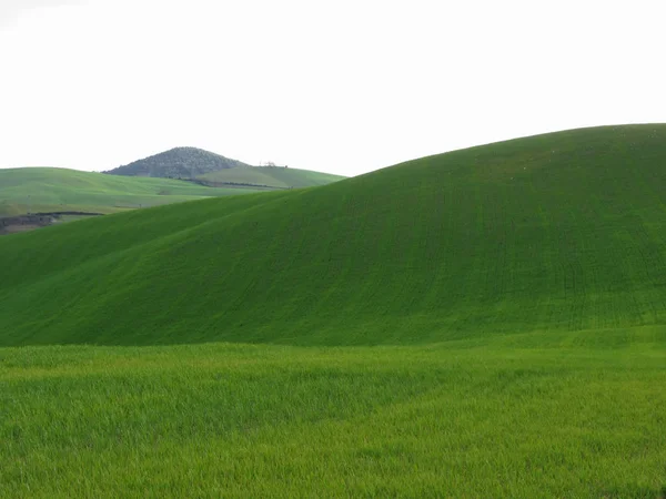 Rolling green hills in Tuscany, Italy — Stock Photo, Image