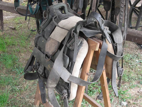 Worn leather horse bridles and bits hanging on wooden fence — Stock Photo, Image
