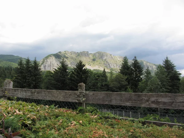 Pohled na horu Pania di Corfino z přírodního parku Orecchiella v létě. Lucca, Itálie — Stock fotografie