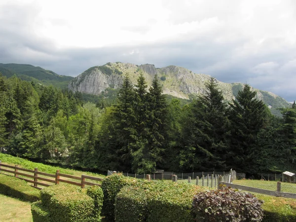 Utsikt over Pania di Corfino-fjellet fra Orecchiella naturpark om sommeren. Lucca, Italia – stockfoto