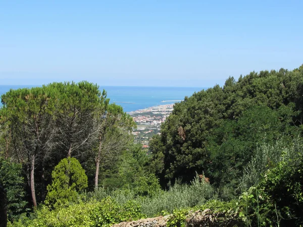 Panorâmica aérea vislumbre a paisagem vegetativa da cidade de Livorno a partir das colinas próximas de Montenero, Toscana Itália — Fotografia de Stock